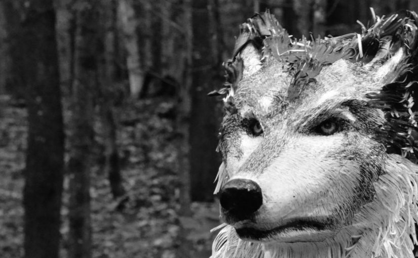 Loup y es-tu ? Magali&nbsp;Chouinard